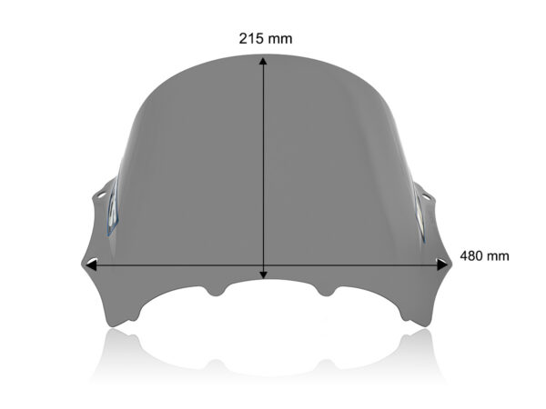 WRS RACE WINDSCREEN BMW M 1000 RR 2023-2024 — изображение 30