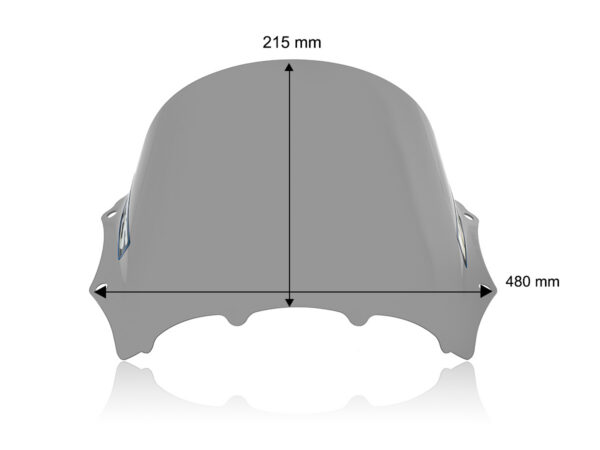 WRS RACE WINDSCREEN BMW M 1000 RR 2023-2024 — изображение 29