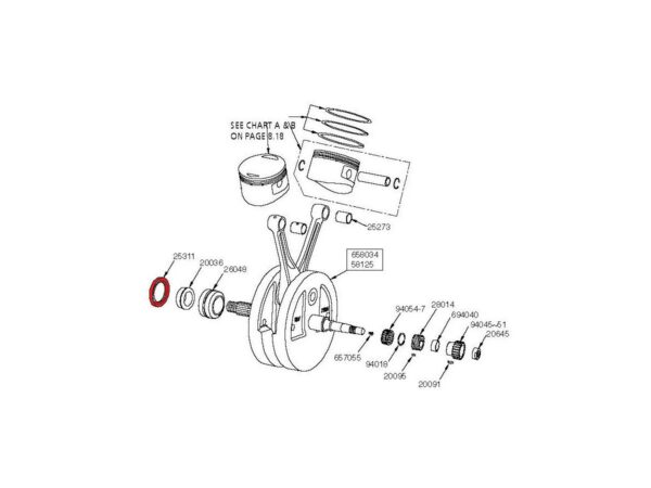 OIL SEAL ENGINE CASE LEFT — изображение 2