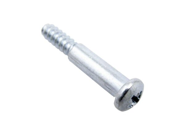 Taillight Screw