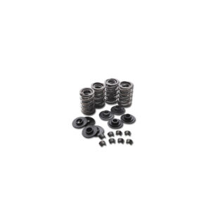 VALVE SPRNG KT.W/STEEL RET.B/T
