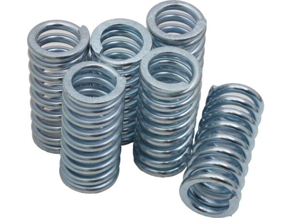 CLUTCH SPRINGS (6) B/T 1984-UP