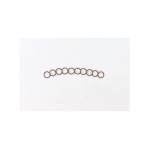 Cam Sensor O-Ring Pack 10