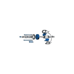Generator Oil Seal Pack 10