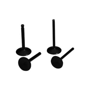 Black Diamond INTAKE VALVE 1340 ccm (80 cui) 1450 ccm (88 cui)