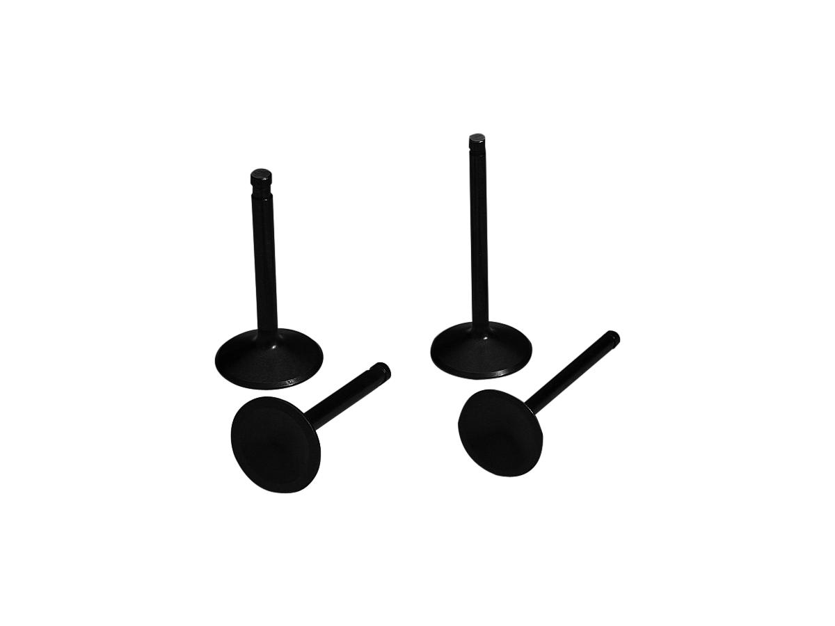 Black Diamond Conversion Exhaust Valve 883 ccm (54 cui) 1200 ccm (73 cui)