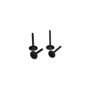 Black Diamond INTAKE VALVE