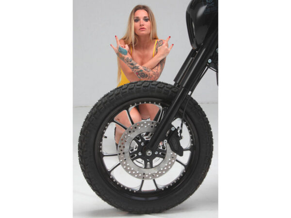 T-5 2-Piece Brake Rotor Midnight Series 11,8" Anodized Rear — изображение 2