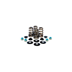 BEEHIVE VALVE SPRING KIT 0.660" LIFT