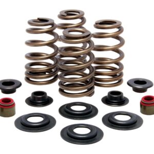 BEEHIVE VALVE SPRING KIT 600
