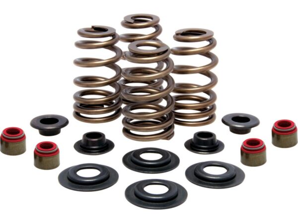 BEEHIVE VALVE SPRING KIT 600