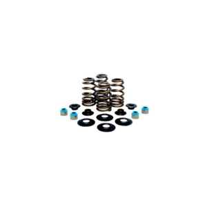 BEEHIVE VALVE SPRING KIT 630