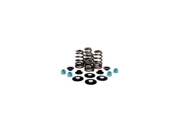 BEEHIVE VALVE SPRING KIT 630