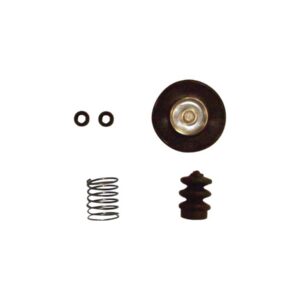 Accelerator Pump Rebuild Kit