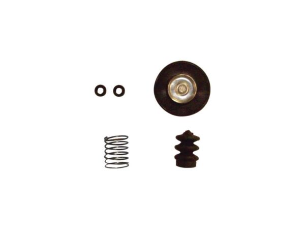 Accelerator Pump Rebuild Kit