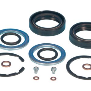 Oil Seal Kit, Front Fork