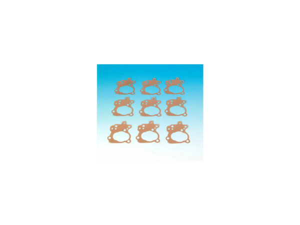 Body Oil Pump Gasket Pack 10