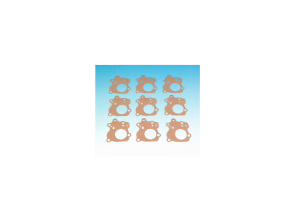 Body Oil Pump Gasket Pack 10