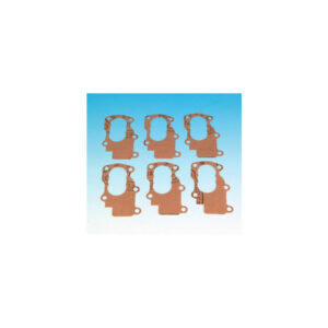 Body Oil Pump Gasket Pack 10
