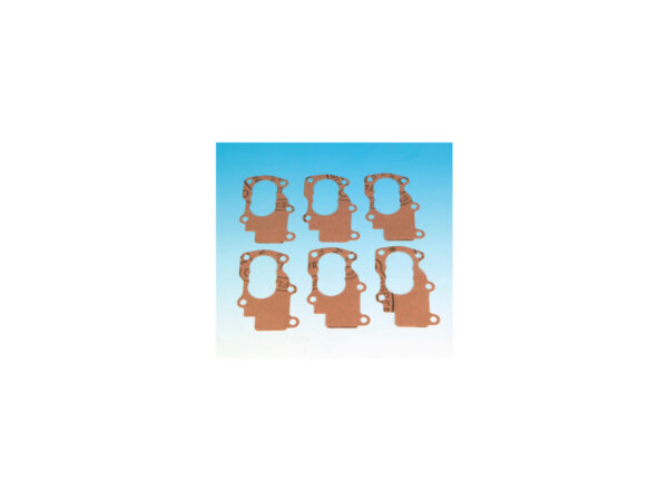Body Oil Pump Gasket Pack 10
