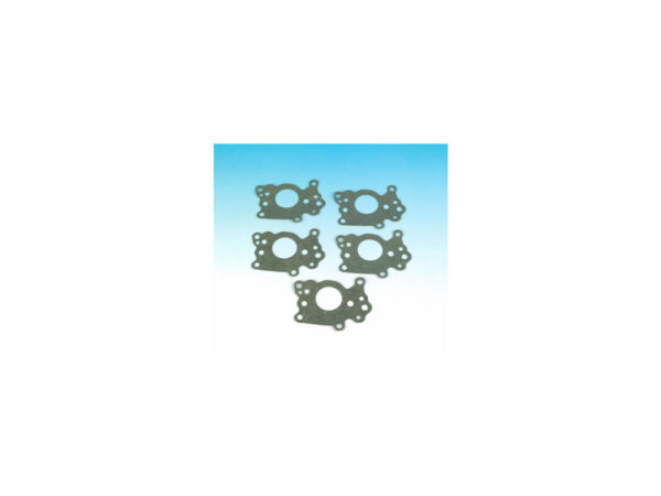 Body Oil Pump Gasket Pack 10