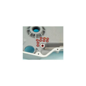 Inner Primary to Motor Seal