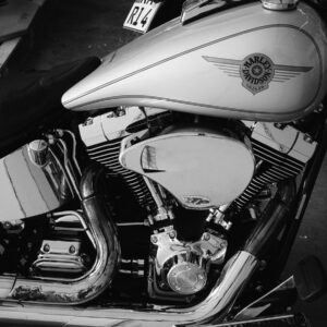 Pro Series Scramjet Air Cleaner