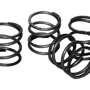 PUSHROD COVER SPRINGS Pushrod Cover Springs