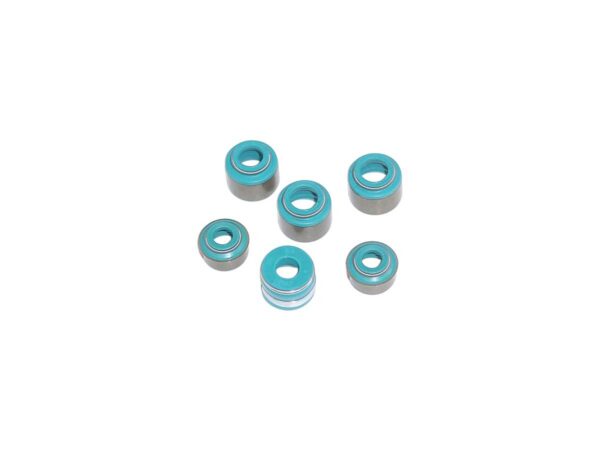 VITON SEALS