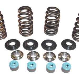 05 TC VALVE SPRING STL CLR