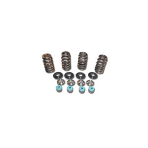 05 TC VALVE SPRING TIT CLR