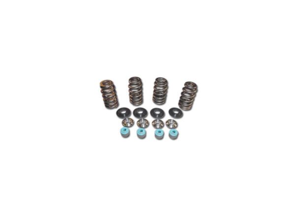 05 TC VALVE SPRING TIT CLR