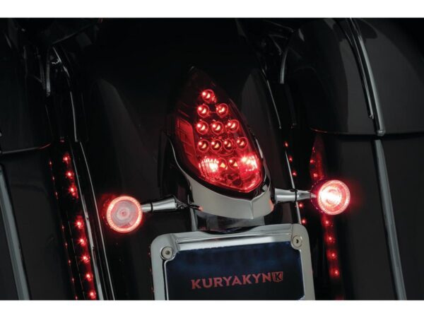 Custom Rear Turn Signal and License Plate Mount for Indian Chrome — изображение 3