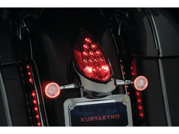 Custom Rear Turn Signal and License Plate Mount for Indian Chrome — изображение 4