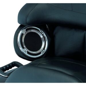 Rear Speaker Accents