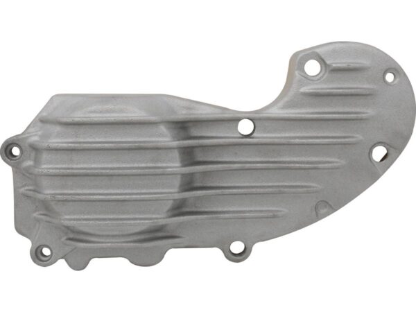 Ribster Iron Cam Cover Gray Raw