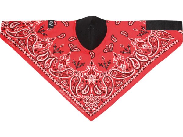 Paisley Cotton/Neoprene Neodana