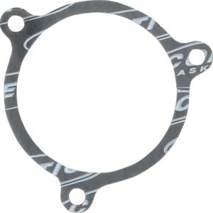 Airbox To Throttlebody Gasket .031" Each 1