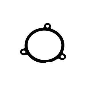 Air Cleaner Gasket Pack 5