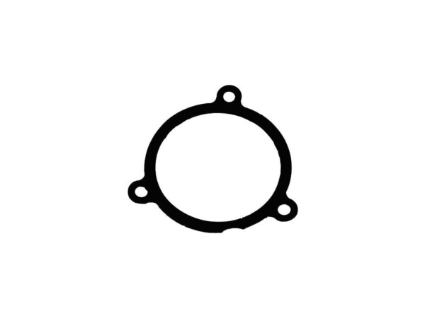 Air Cleaner Gasket Pack 5