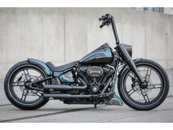 Torque with Thunderbike Logo Oval Airbox Air Cleaner Cover Bi-Color Anodized — изображение 2