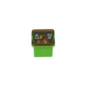 Replacement Fuse 40 Amp