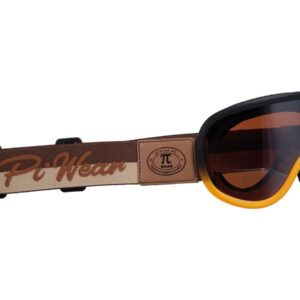 Arizona Goggle Orange Frame/Brown Strap