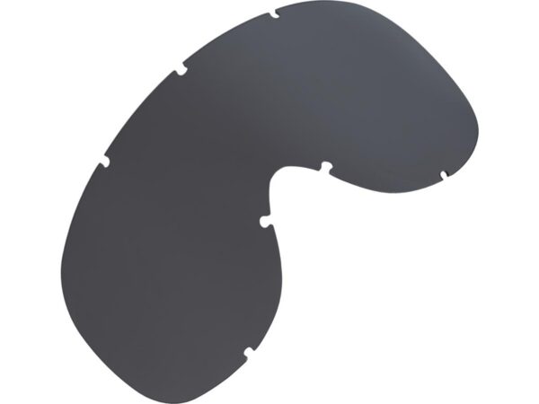 Arizona Google Lenses