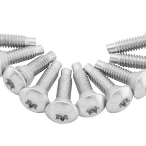 Fuel Pump Plate Screw Kit