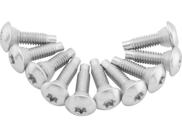 Fuel Pump Plate Screw Kit