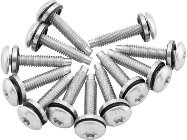 Fuel Pump Plate Screw Kit