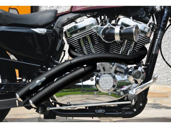 Rainbow Down Under Exhaust System , Without Heat Shield, Polished Smooth End Cap, Black 2,5"