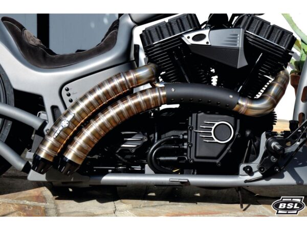 Rainbow V2 Snake on the Road Exhaust System , Black Hole Heat Shield, Black Smith and Listen End Cap, Outline 2,5"