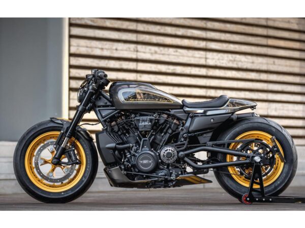 Belt Guard for Sportster S Flat Black Powder Coated — изображение 4